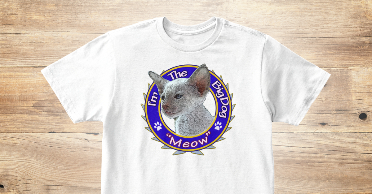 Capybara Funny Cats