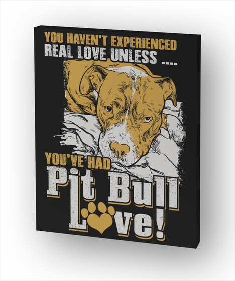 You Haven't Experienced
Real Love Unless....
You've Had 
Pitbull Love! Standard Camiseta Front
