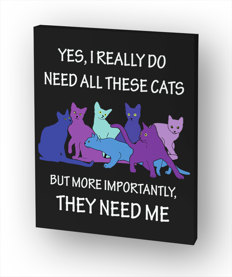 Yes, I Really Do Need All These Cats But More Importantly, They Need Me Standard T-Shirt Front