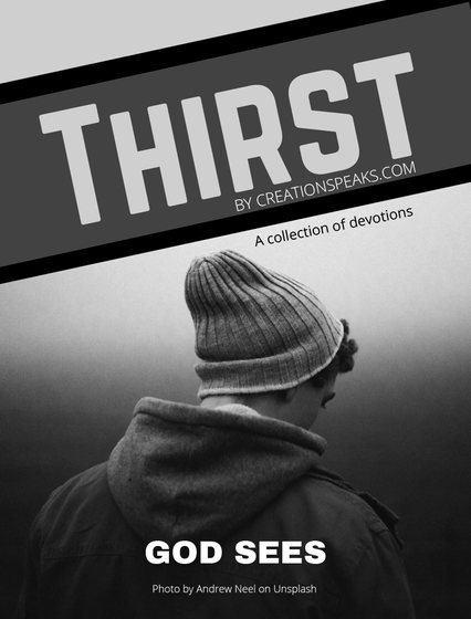 Thirst
By Creationspeaks.Com
A Collection Of Devotions
God Sees
Photo By Andrew Neel On Unsplash
  T-Shirt Front