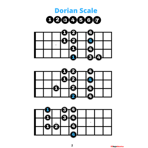 Bass Guitar Scales (4 Strings)  Camiseta Left