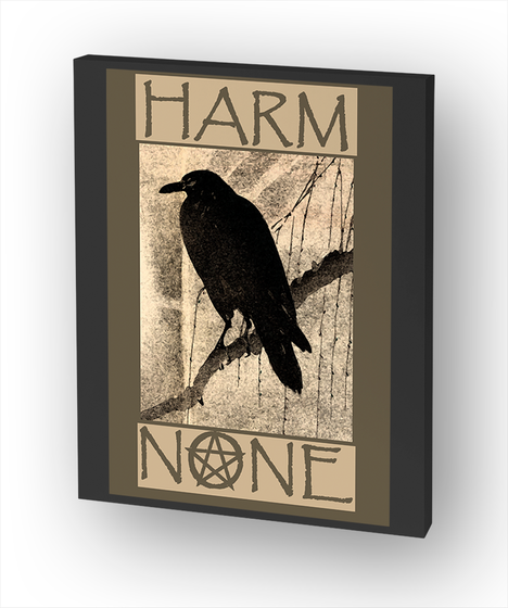 Harm None Standard T-Shirt Front