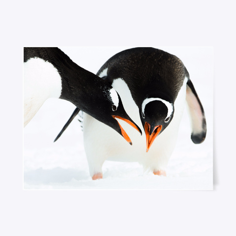Penguin Talk White Kaos Front
