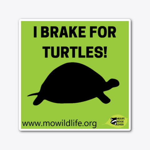 I Brake For Turtles!  Standard Kaos Front