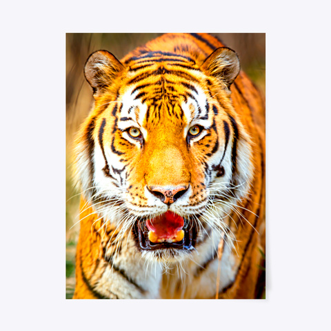 Tiger Poster Standard T-Shirt Front