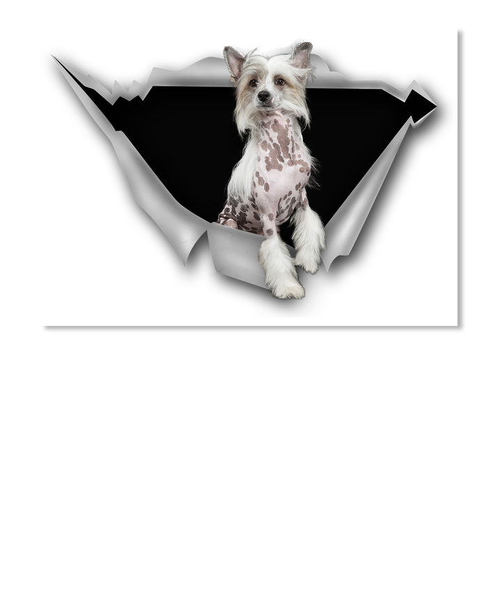 IT'S A CHINESE CRESTED THING 4" DOG STICKER