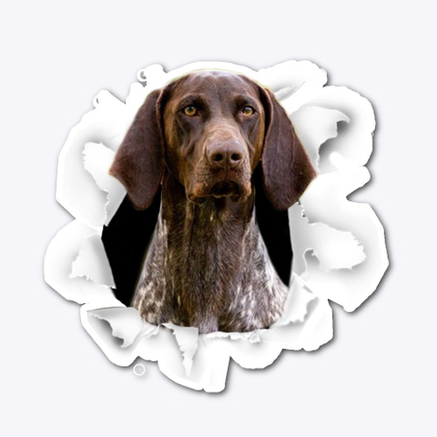 German Shorthaired Pointer  Standard T-Shirt Front