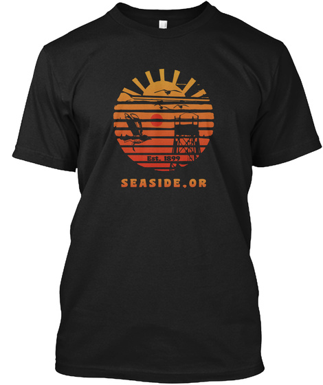 Seaside Or Oregon Seagulls Sun