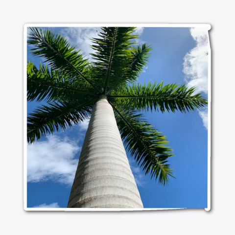 Royal Palm Tree Vivid Blue Sky Standard T-Shirt Front