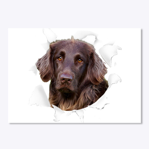 German Longhaired Pointer 3 D Sticker  White T-Shirt Front