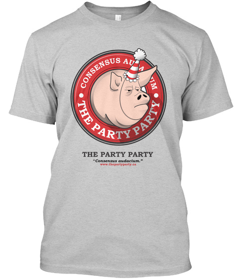 We Are The Party Party! Light Steel T-Shirt Front