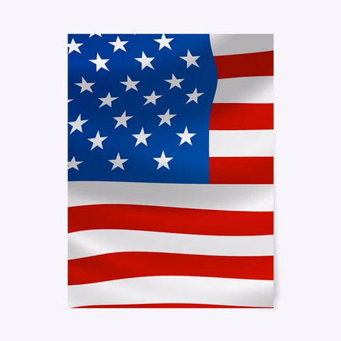 Usa Flag Canvas Print $ Posters Standard T-Shirt Front