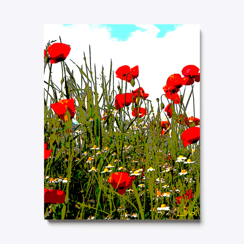 Poppies #1 By Lindi Canvas Print White T-Shirt Front