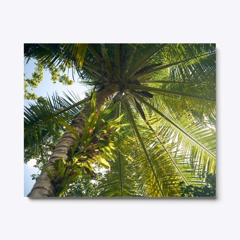 Canvas Art Palm Tree View Standard T-Shirt Front