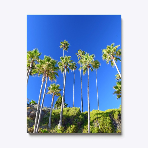 Canvas Art Palm Tree Blue Sky View Standard T-Shirt Front
