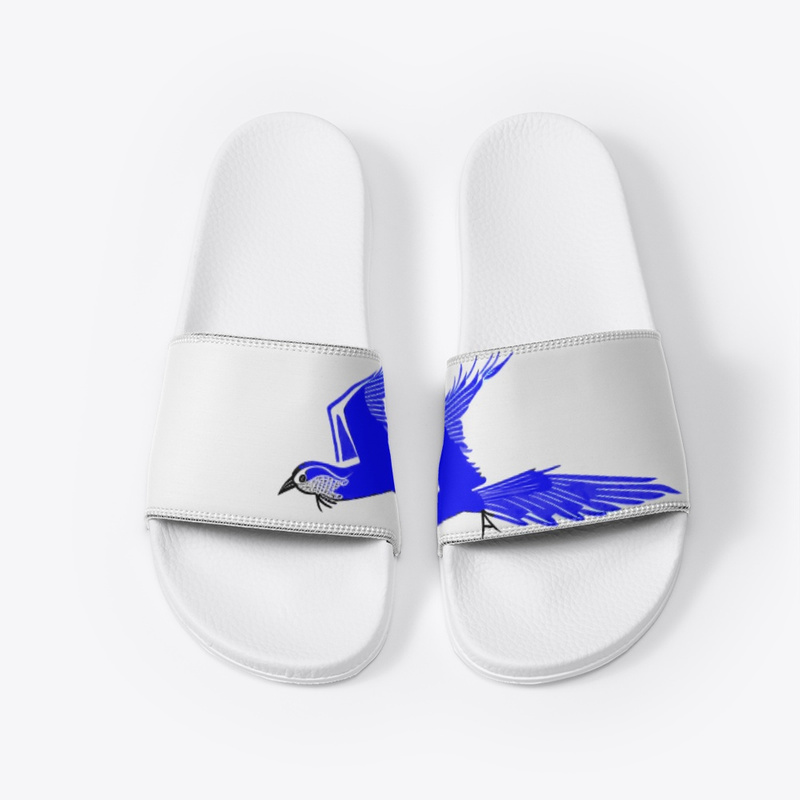 Blue Bird White Slides